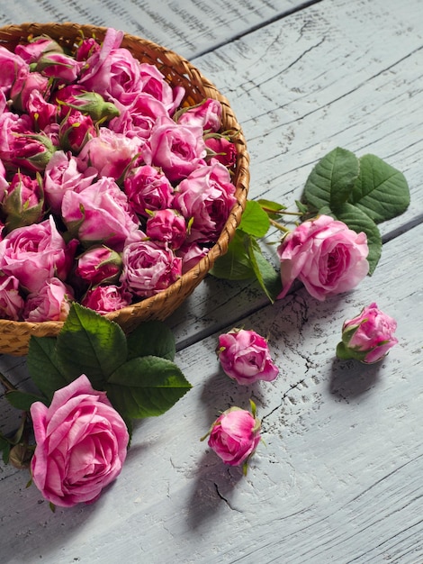 Bourgeons des roses de thé dans le panier