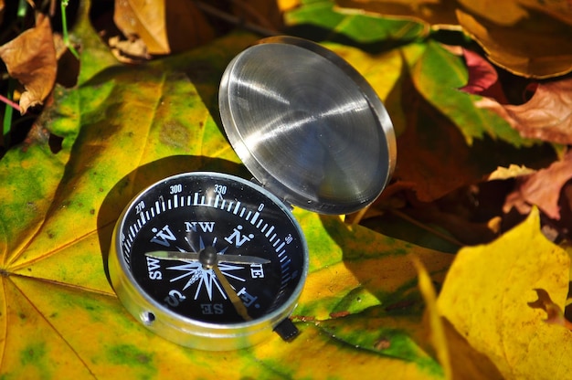 Boussole dans les feuilles tombées