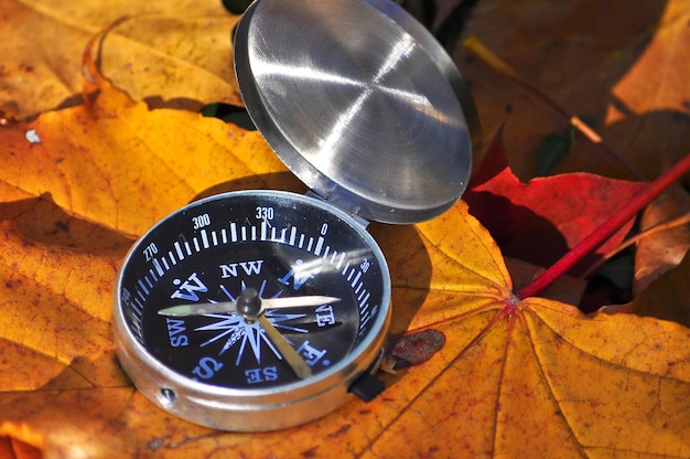 Boussole illuminée par le soleil sur les feuilles mortes