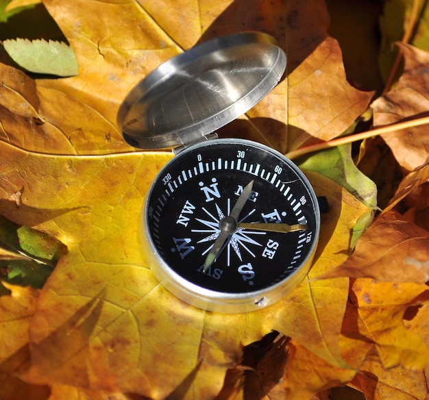 Boussole parmi les feuilles d'automne