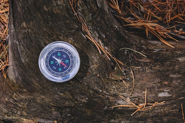 Boussole sur une souche d'arbre en forêtVoyages et loisirs sauvages