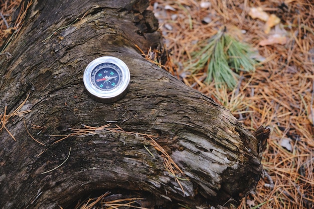 Boussole sur une souche d'arbre en forêtVoyages et loisirs sauvages