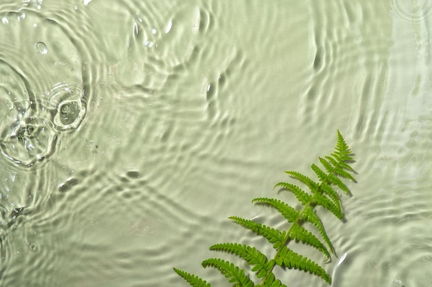 Bouteille blanche flacon cosmétique produit de beauté en goutte d'eau