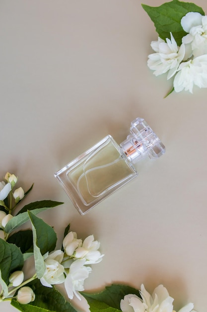 Une bouteille chic de parfum féminin ou d'eau de toilette parmi les fleurs blanches de jasmin vue de dessus mise en page plate flacon sans nom pour la présentation