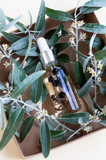 Une bouteille cosmétique avec de l'huile pour le corps se trouve dans une boîte avec des feuilles fraîches