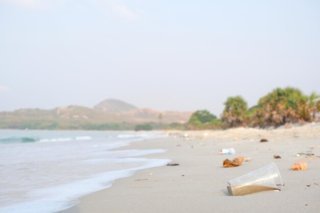 Une bouteille de détritus sur une plage avec une montagne en arrière-plan