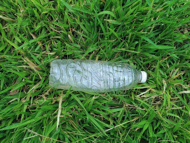 Bouteille d'eau douce sur la vue de dessus d'herbe verte