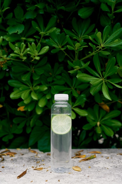 Une bouteille d'eau avec une tranche de citron vert se dresse sur une tuile devant un buisson vert