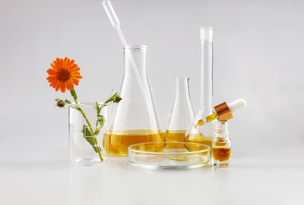 Bouteille avec flacons de laboratoire à pipette et fleurs de calendula sur fond gris