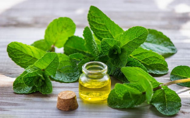 Bouteille d'huile essentielle et de menthe isolée sur fond clair