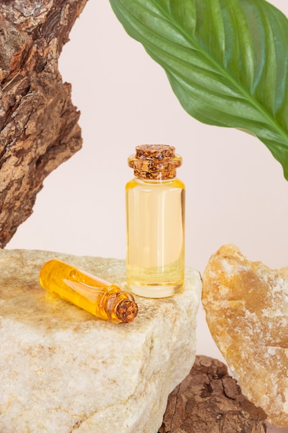 Une bouteille d'huile essentielle naturelle sur une pierre, à côté d'une écorce d'arbre avec une belle texture et feuille. Concept d'essences naturelles, cosmétiques bio, aromathérapie, spa.