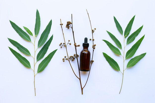 Bouteille d&#39;huile d&#39;eucalyptus avec des feuilles blanches.