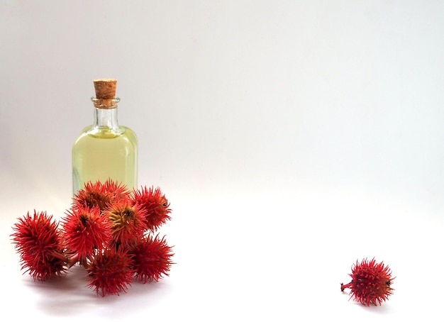 Bouteille d'huile de ricin et fruit de ricin sur fond blanc Espace de copie