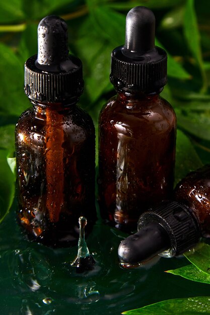 Bouteille avec de l'huile de sérum à base de plantes cosmétique et concept de soins de la peau simple et naturel