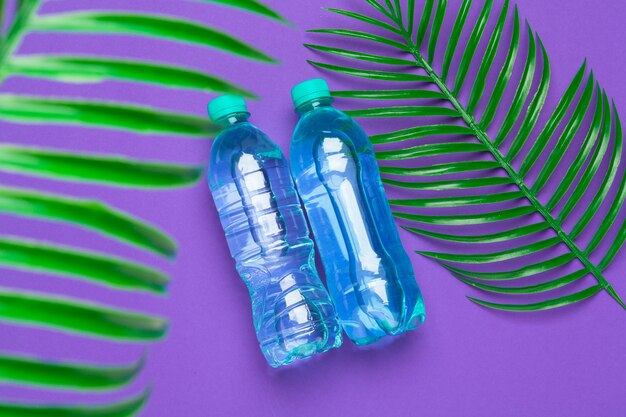 Bouteille liquide transparente avec des feuilles de palmier tropical, vue de dessus