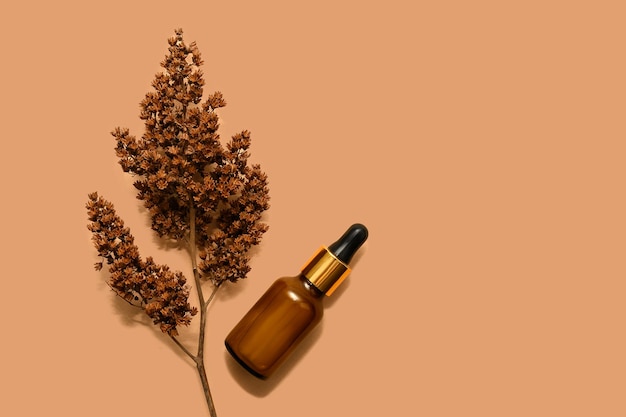 Bouteille noire de lotion cosmétique avec des fleurs séchées avec place pour le texte