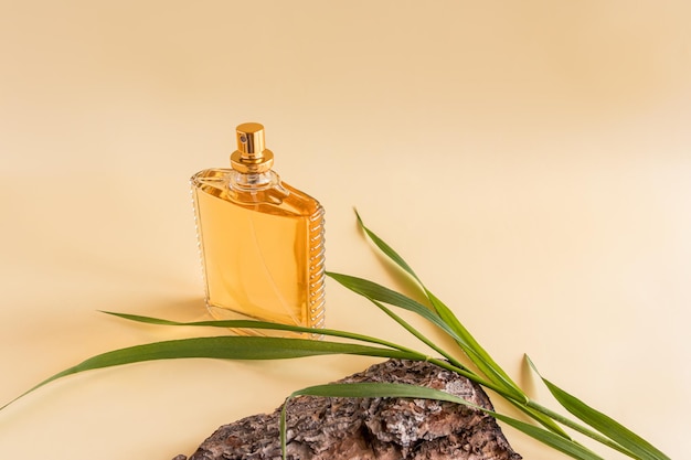 La bouteille originale d'eau de toilette ou de parfum se dresse sur un fond pastel avec un fragment d'écorce d'arbre et d'herbe vue de face un espace de copie