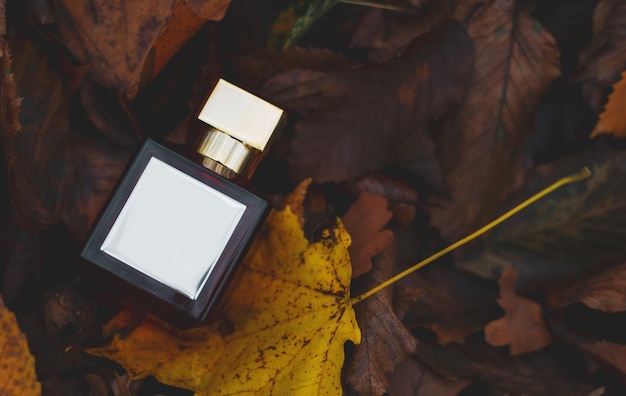 Bouteille de parfum sur le fond des feuilles d'automne