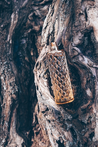 bouteille de parfum de luxe boisé aromatique sur modèle d'arôme de parfum boisé d'écorce d'arbre