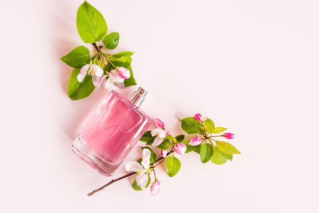 Une bouteille de parfum pour femme avec un parfum de lumière printanière sur fond rose avec des branches fleuries d'un pommier en haut voir un espace de copie