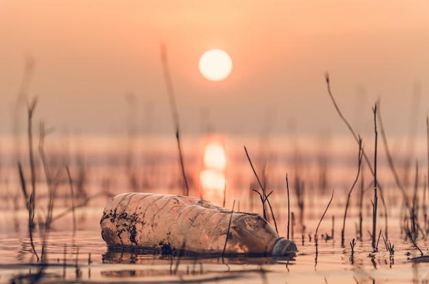 Bouteille en plastique dans le lac en plein air sur la chaude journée avec lever matin