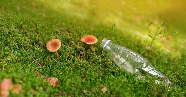 Une bouteille en plastique est allongée sur la mousse à côté d'un champignon dans la forêt