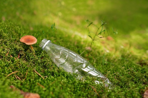 Une bouteille en plastique sur la mousse de forêt avec des champignons en croissance