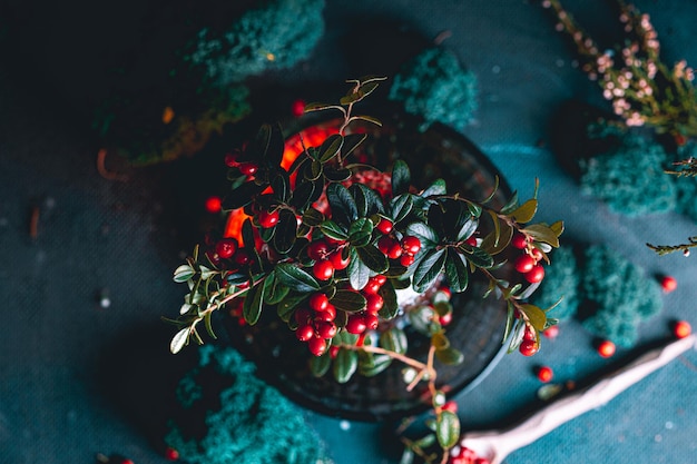 Bouteille pleine de petits fruits mûrs frais l'airelle du nord Le concept d'aliments sains et biologiques