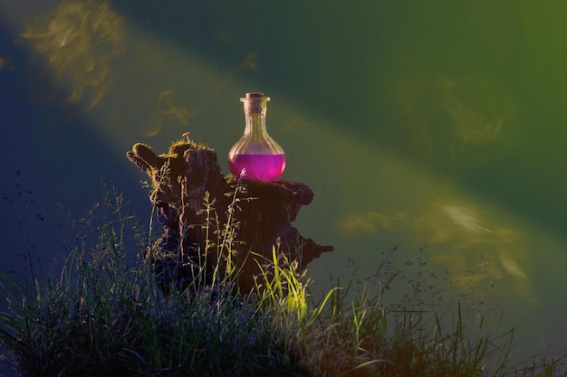 Bouteille de potions magiques dans la forêt magique