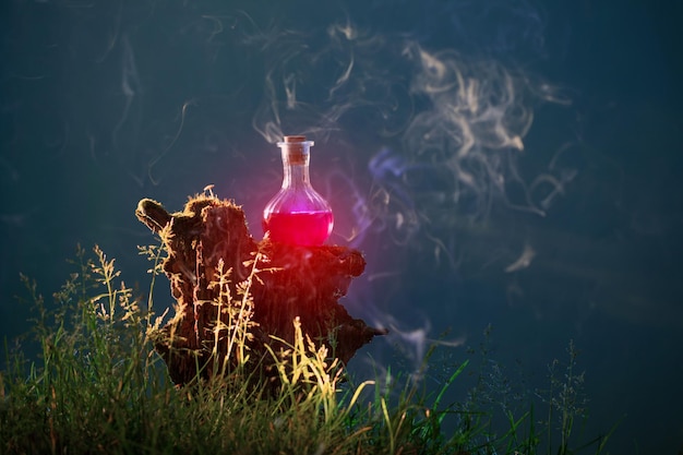 une bouteille de potions magiques dans une forêt magique