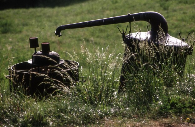 Photo bouteille et récipient d'arrosage métallique sur l'herbe dans le jardin