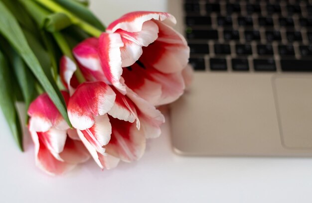 bouteille rose avec cadre au milieu pour le texte espace vide avec des fleurs de tulipes isolées sur rose ou gris