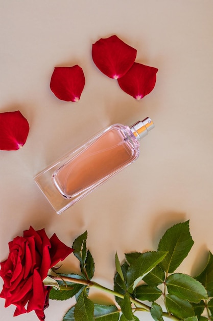 Une bouteille transparente de parfum ou d'eau de toilette sur fond beige avec une rose coupée rouge et des pétales vue de dessus présentation d'arôme