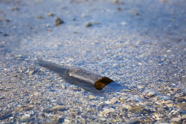 Bouteille en verre dans l'eau de la rivière