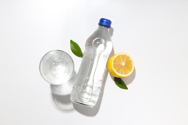 Bouteille En Verre Et Verre D'eau Et De Citron Avec Des Feuilles