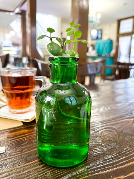 Photo une bouteille verte avec une plante qui en sort est posée sur une table en bois.