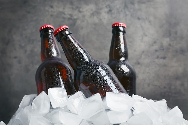 Bouteilles de bière en glace sur fond gris