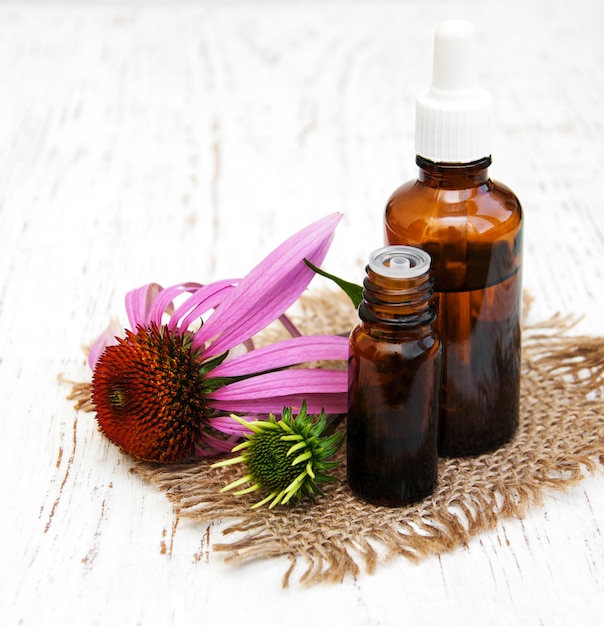 Bouteilles d&#39;essence à l&#39;échinacée violette