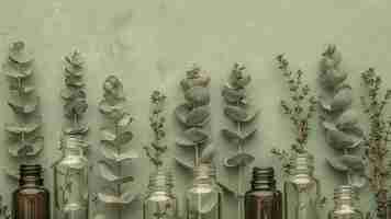 Photo bouteilles d'huile essentielle d'eucalyptus avec des branches fraîches sur un fond vert concept huile d'eukalyptus aromathérapie produits de bien-être ingrédients naturels arrière-plan vert