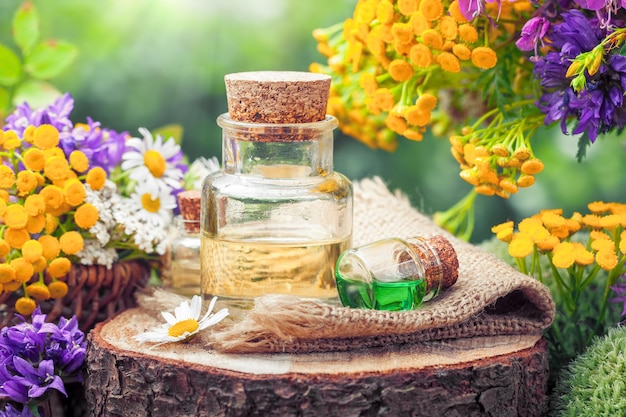 Bouteilles d'huiles essentielles ou de potions d'herbes médicinales et de fleurs sauvages Phytothérapie