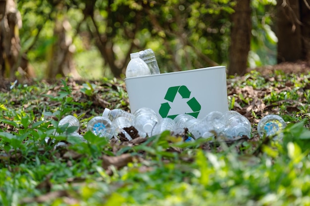 Bouteilles en plastique et bac de recyclage à l'extérieur