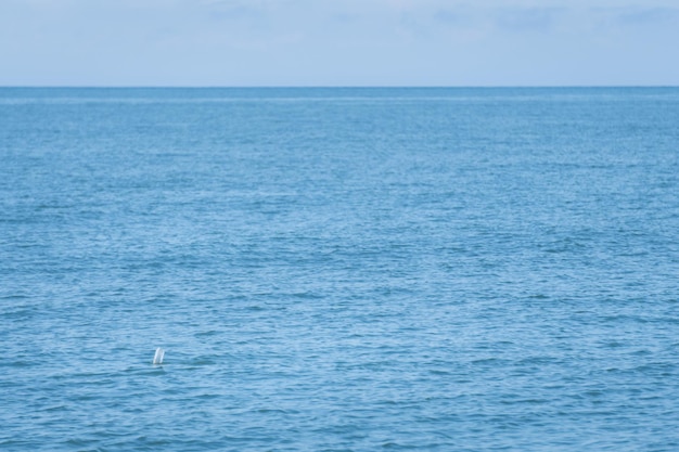 Bouteilles en plastique dans la mer