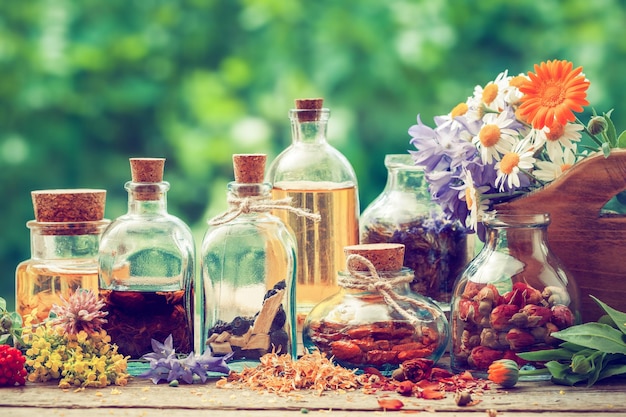 Bouteilles de teinture ou de potion et d'herbes saines bouquet d'herbes médicinales dans une boîte en bois Phytothérapie