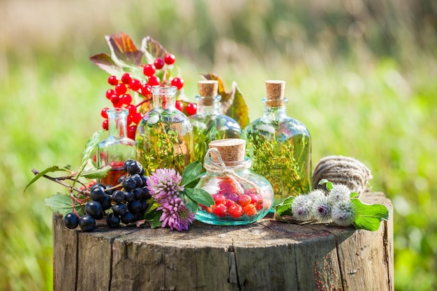 Bouteilles Transparentes De Teinture D'herbes Et De Baies Saines Sur Une Souche En Bois à L'extérieur De La Phytothérapie