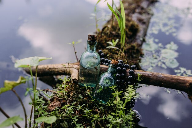 Les bouteilles en verre sont remplies d'ingrédients magiques élixir forêt mystérieuse