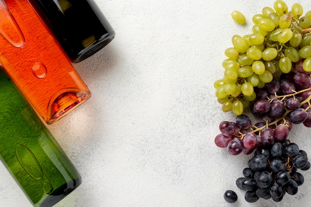 Photo bouteilles de vin et raisins biologiques