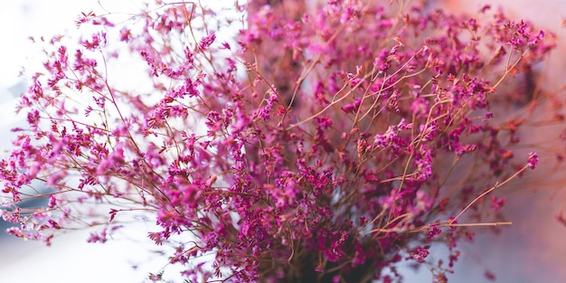 Boutique fleur séchée violette dans le vase pour la décoration de la maison