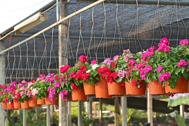 Boutique de fleurs à vendre