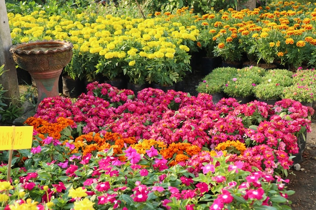 Photo boutique de fleurs à vendre