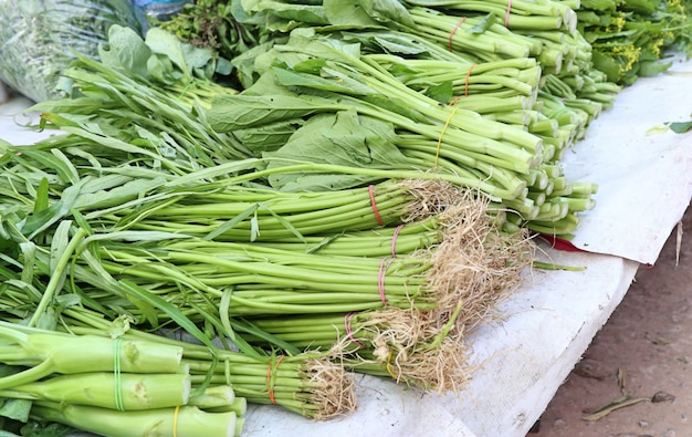 Boutiques vendant des légumes au marché